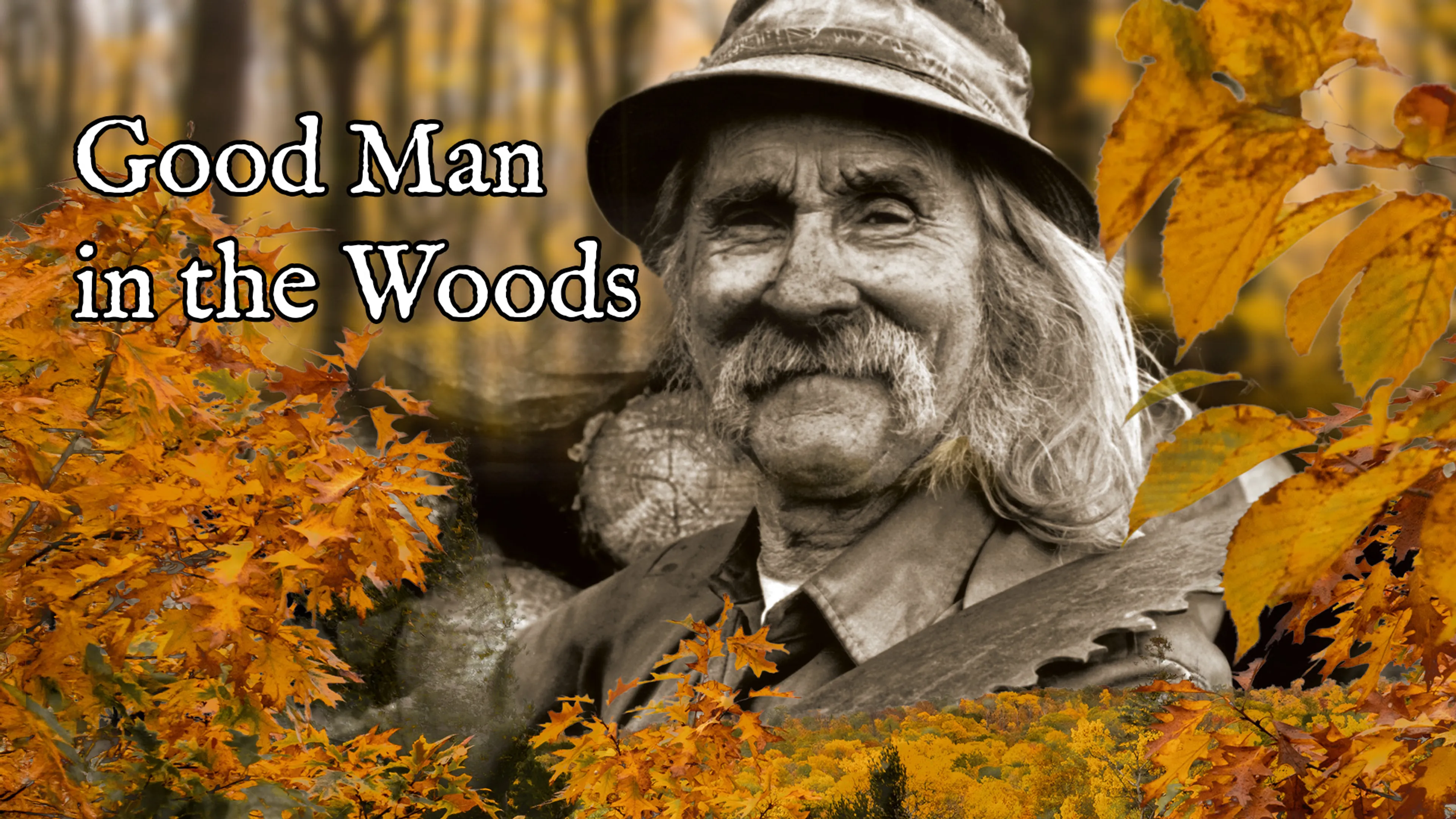 Title poster image